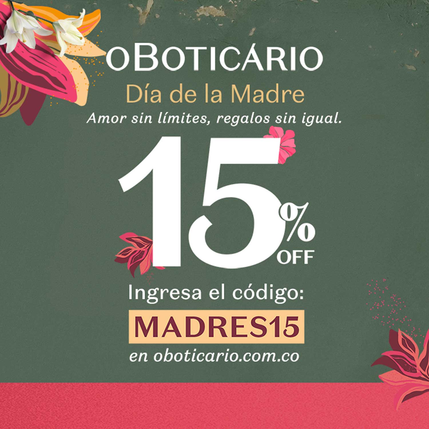Bono de compra 15% Off.